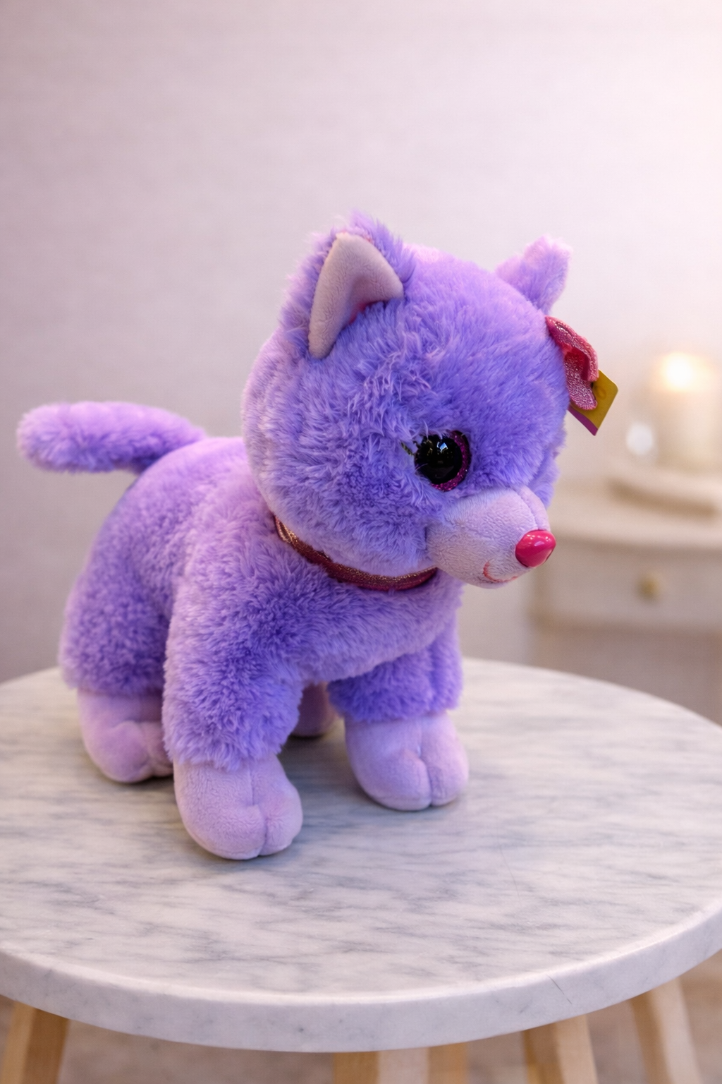 Cat Small Purple