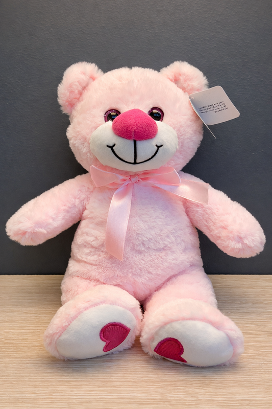 Teddy Big Pink